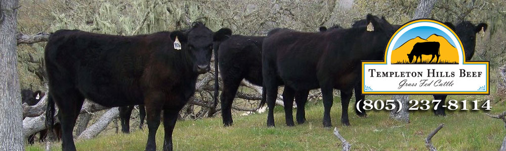 Grass Fed Beef from Templeton California on the Central Coast
